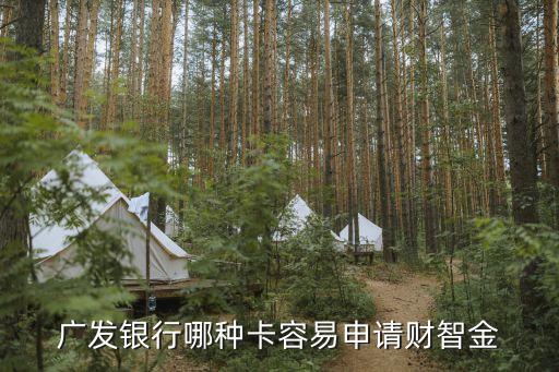 廣發(fā)什么卡好申，廣發(fā)銀行哪種卡容易申請財智金