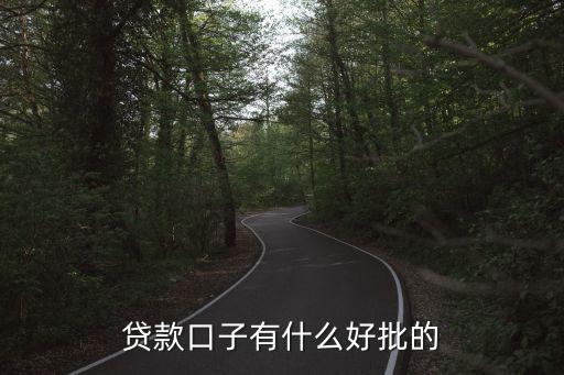 貸款口子有什么好批的