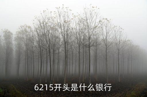 621485什么銀行，6214830211240592是什么銀行的卡號
