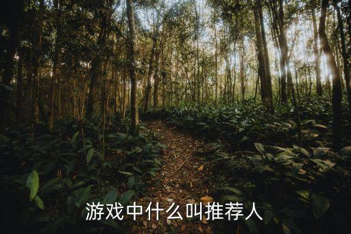 游戲中什么叫推薦人