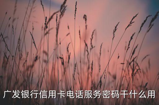 廣發(fā)銀行信用卡電話服務密碼干什么用