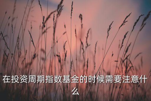 在投資周期指數(shù)基金的時候需要注意什么