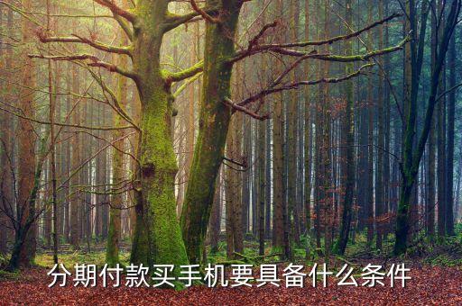 買手機(jī)分期付款需要什么條件，手機(jī)分期付款需要什么條件
