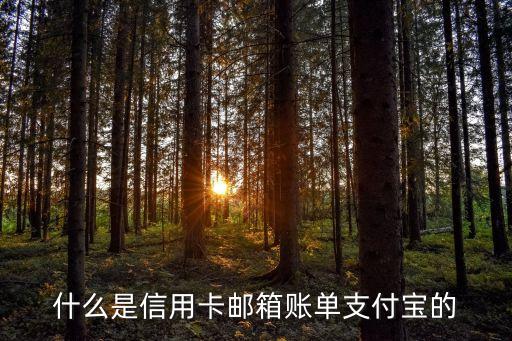 什么是信用卡郵箱賬單支付寶的