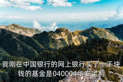 040004是什么型基金，我剛在中國(guó)銀行的網(wǎng)上銀行買(mǎi)了一千塊錢(qián)的基金是040004華安寶利
