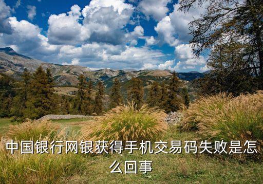 手機交易碼錯誤的是什么，請問中行網銀中進行交易時提示獲取手機交易碼失敗是什么原因