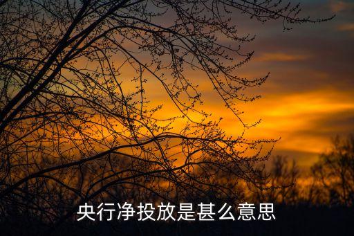 央行凈投放是甚么意思