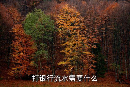 打銀行流水需要什么