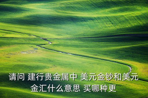 請問 建行貴金屬中 美元金鈔和美元金匯什么意思 買哪種更