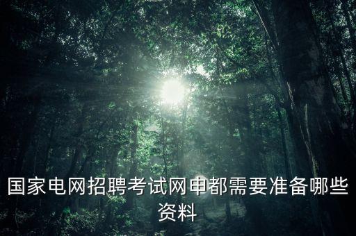 網(wǎng)申申什么，網(wǎng)上報稅都需要申報什么