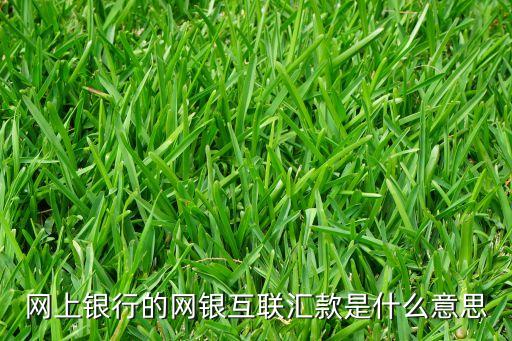網(wǎng)上銀行的網(wǎng)銀互聯(lián)匯款是什么意思