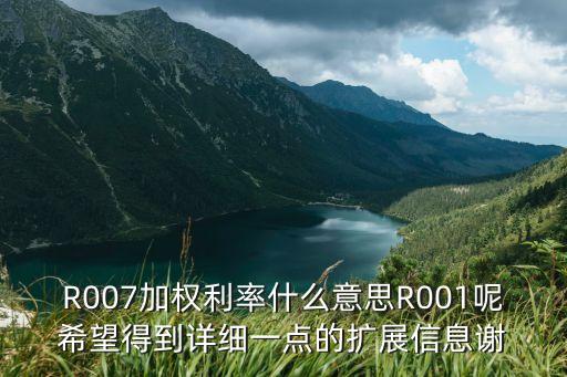 r007和dr007什么區(qū)別，股票中R007是什么意思