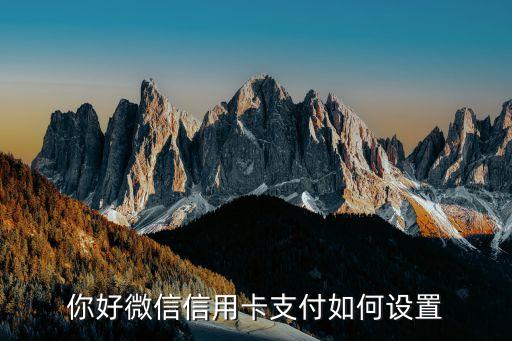微信支付怎樣用信用卡支付寶支付密碼是什么，你好微信信用卡支付如何設(shè)置