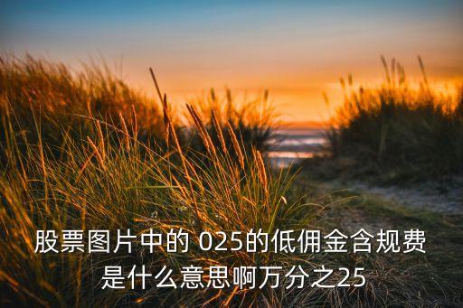 股票圖片中的 025的低傭金含規(guī)費 是什么意思啊萬分之25