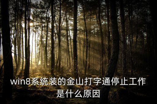 win8系統(tǒng)裝的金山打字通停止工作是什么原因