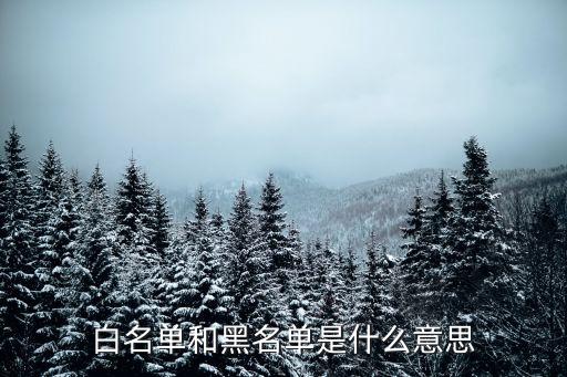 白名單和黑名單是什么意思