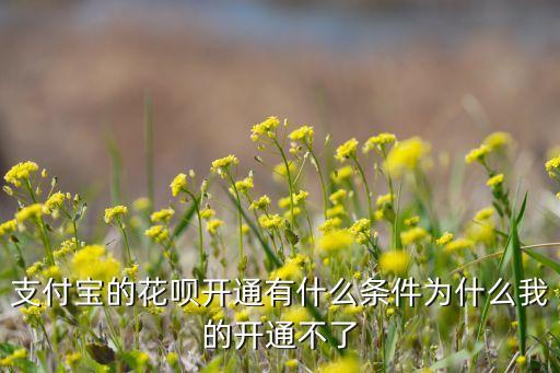 支付寶的花唄開通有什么條件為什么我的開通不了