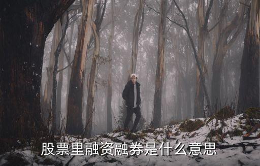 股票里融資融券是什么意思