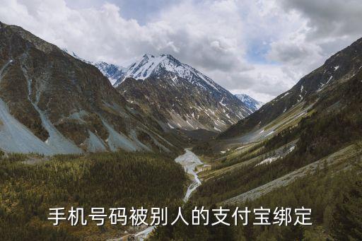 我電話號碼被什么綁定，手機(jī)號碼被別人的支付寶綁定