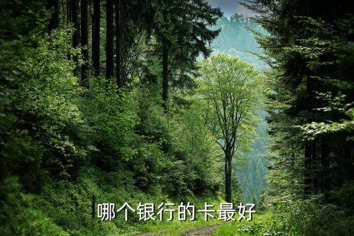 什么銀行的卡好，哪個(gè)銀行的卡最好