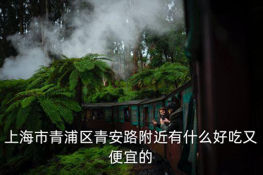 上海市青浦區(qū)青安路附近有什么好吃又便宜的