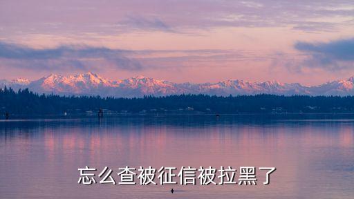 忘么查被征信被拉黑了