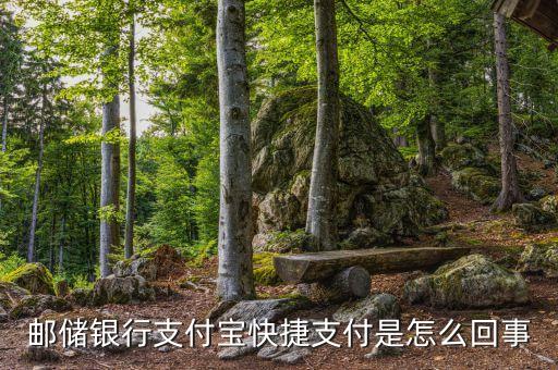 郵儲銀行支付寶快捷支付是怎么回事