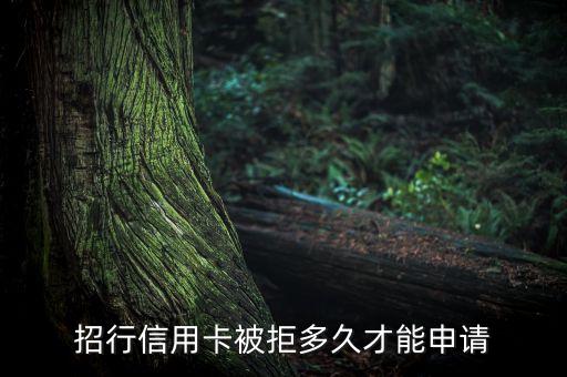 招行信用卡被拒多久才能申請