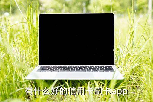 什么軟件能刷信用卡，信用卡現(xiàn)在有什么APP可以套完