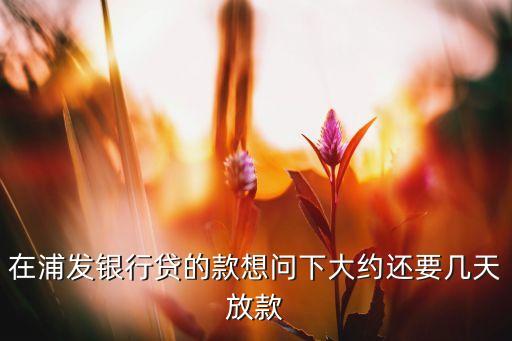 在浦發(fā)銀行貸的款想問下大約還要幾天放款