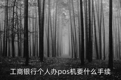 辦理個人pos機需要什么手續(xù)，個人開店辦理pos機需要什么材料