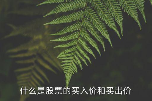 什么是股票的買入價和買出價
