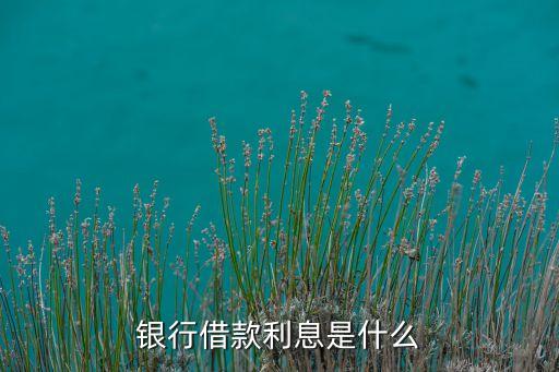 什么是銀行貸款利息，銀行借款利息是什么