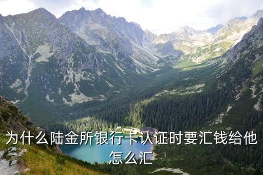 陸金所為什么要充值，為什么陸金所銀行卡認證時要匯錢給他怎么匯