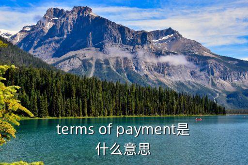 terms of payment是什么意思