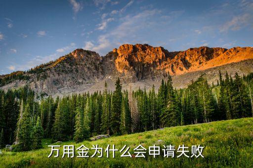 萬用金為什么申請不了，萬用金為什么會申請失敗