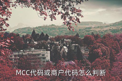 mcc碼是9000的是什么商戶類型，銀行用的MCC碼是什么意思
