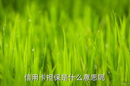 信用卡擔(dān)保是什么意思呢