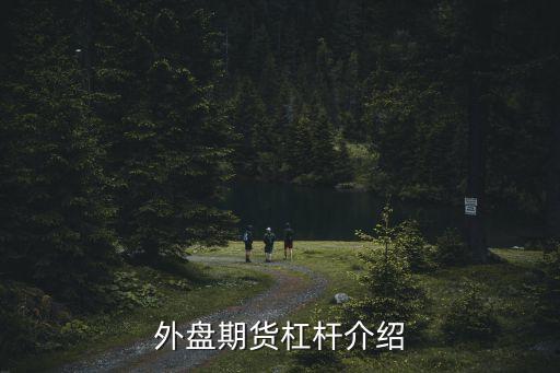 風(fēng)控值 怎么算，外盤期貨杠桿介紹