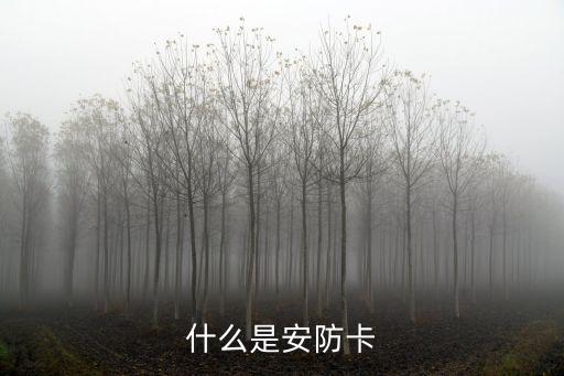 什么是安防卡