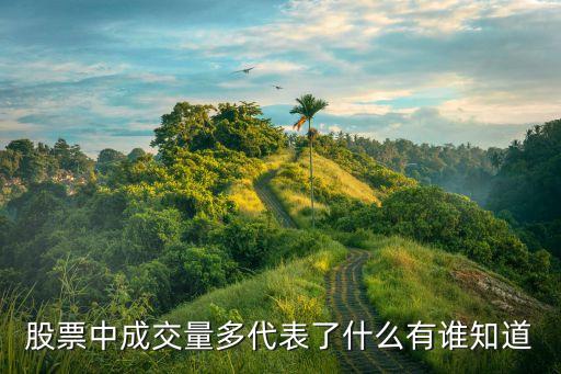 股票成交量說明什么，股票中成交量多代表了什么有誰知道