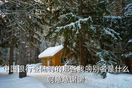 中國銀行別名輸什么，中國銀行信用卡別名怎么留什么