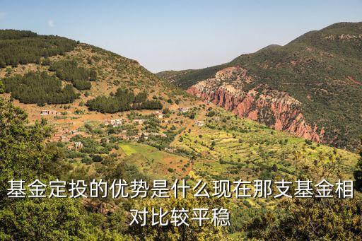 基金的優(yōu)勢是什么時候，論述投資基金優(yōu)缺點