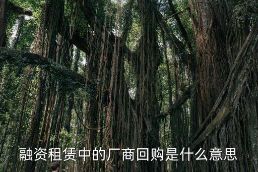 融資租賃中的廠商回購是什么意思