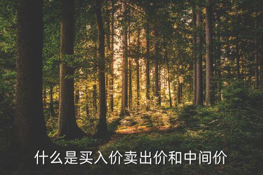 什么是買入價(jià)賣出價(jià)和中間價(jià)