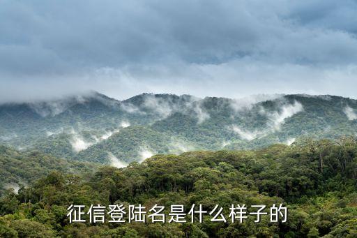 征信登陸名是什么，央行征信登錄名是什么