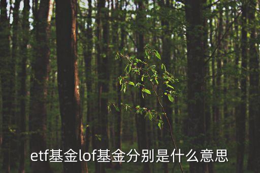 etf基金lof基金分別是什么意思