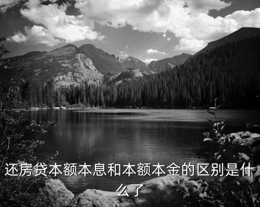 還房貸像什么，還房貸是什么意思
