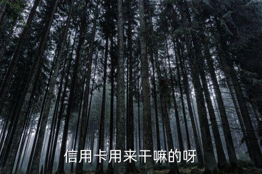辦信用卡做什么的，信用卡是用來(lái)干嘛的
