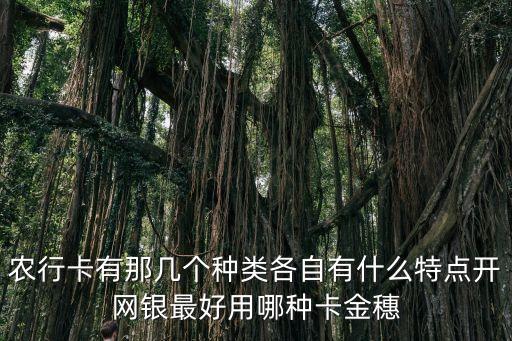 農(nóng)行卡有那幾個(gè)種類各自有什么特點(diǎn)開網(wǎng)銀最好用哪種卡金穗